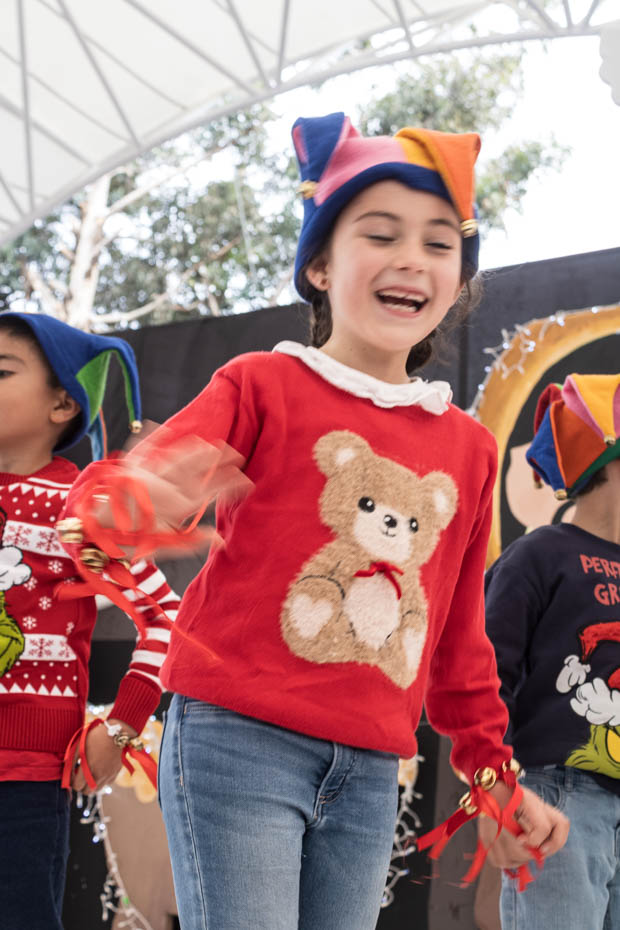 Ir a la Siguiente Foto