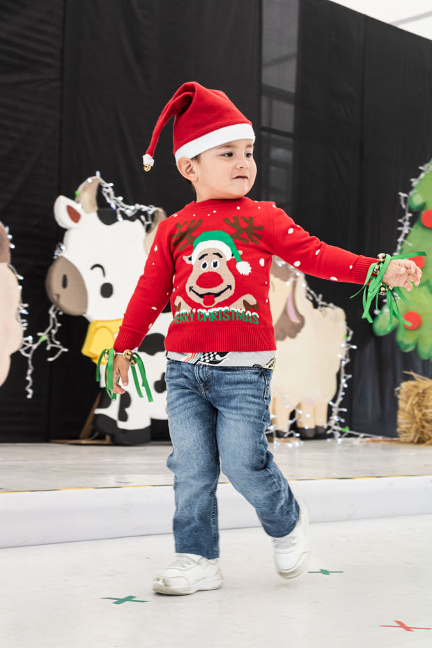 Ir a la Siguiente Foto