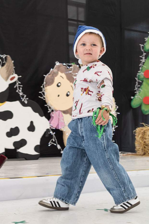 Ir a la Siguiente Foto