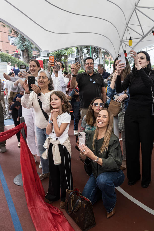 Ir a la Siguiente Foto