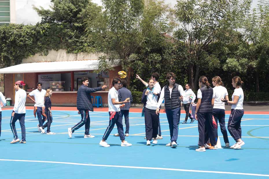 Ir a la Siguiente Foto