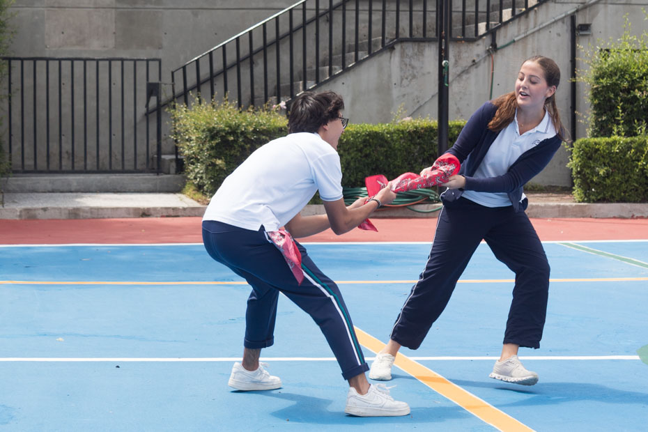 Ir a la Siguiente Foto