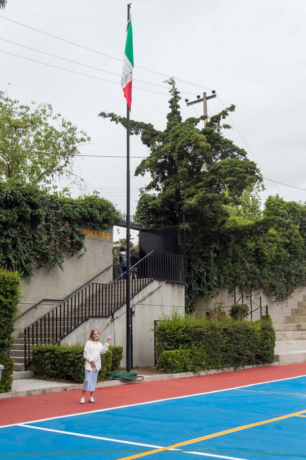 Ir a la Siguiente Foto