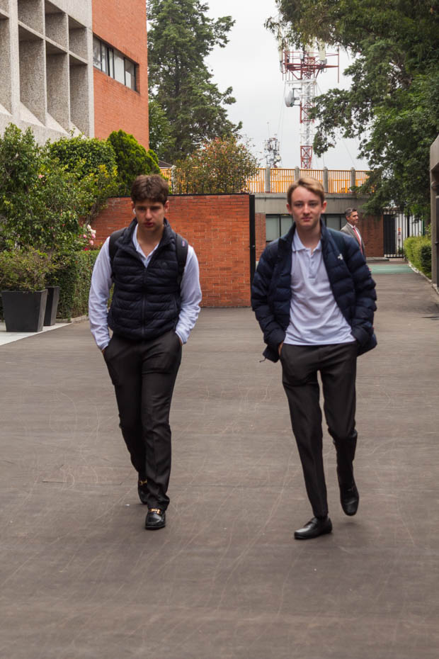 Ir a la Siguiente Foto