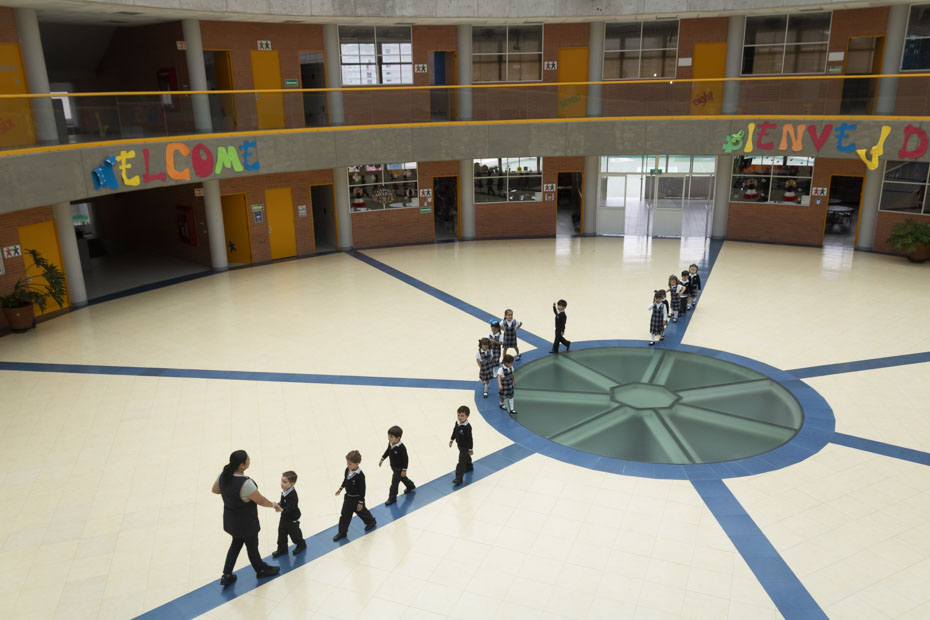 Ir a la Siguiente Foto