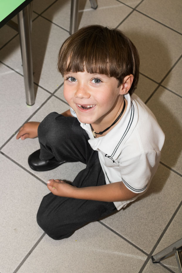 Ir a la Siguiente Foto