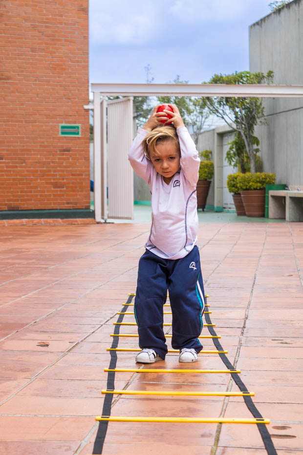 Ir a la Siguiente Foto