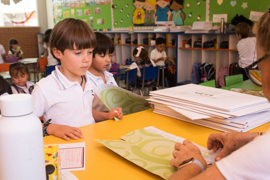 Ir a la Siguiente Foto
