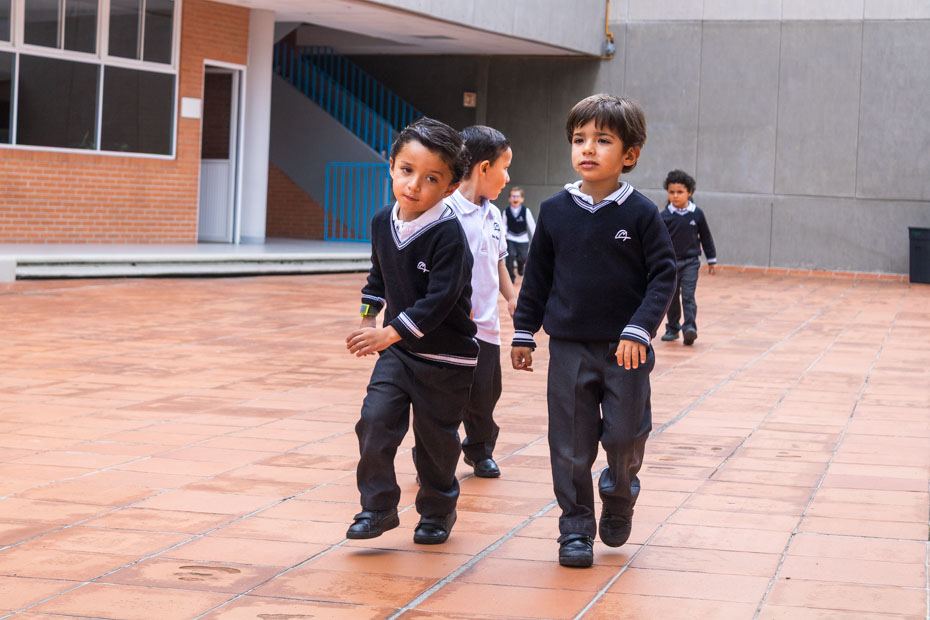 Ir a la Siguiente Foto