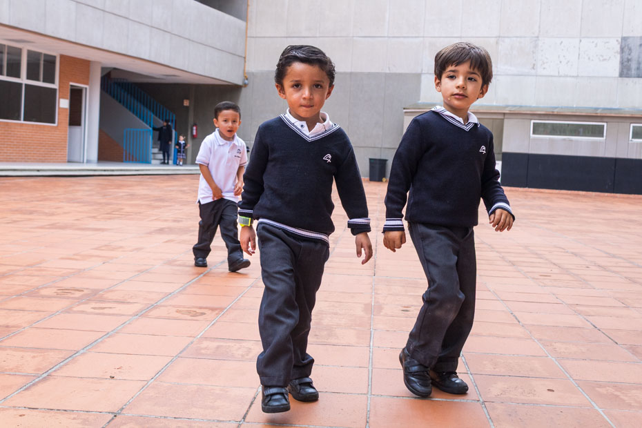 Ir a la Siguiente Foto