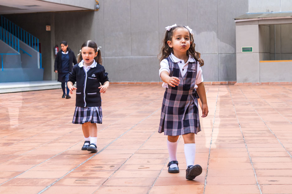 Ir a la Siguiente Foto