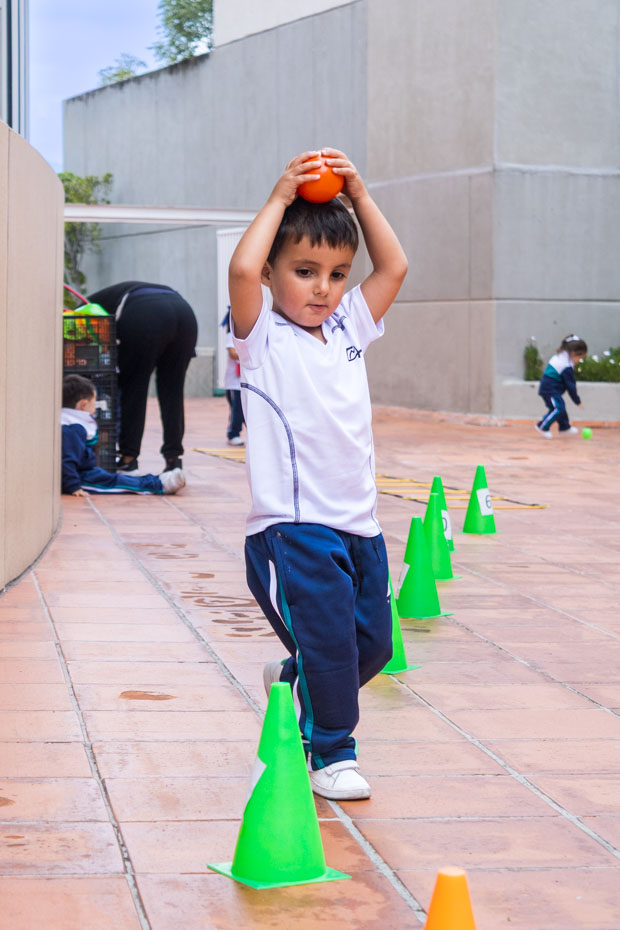 Ir a la Siguiente Foto