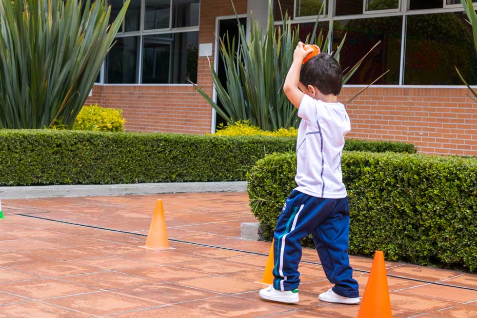 Ir a la Siguiente Foto