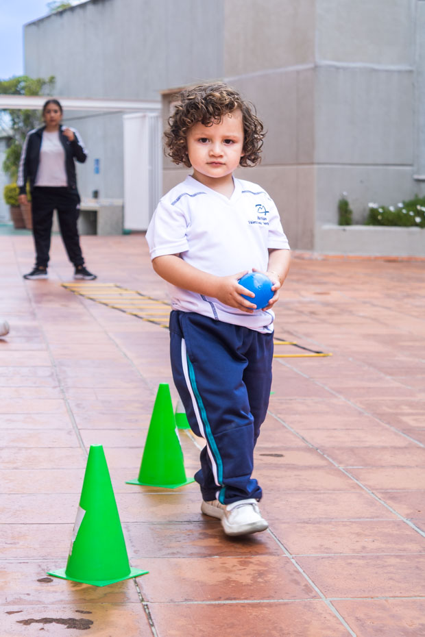 Ir a la Siguiente Foto