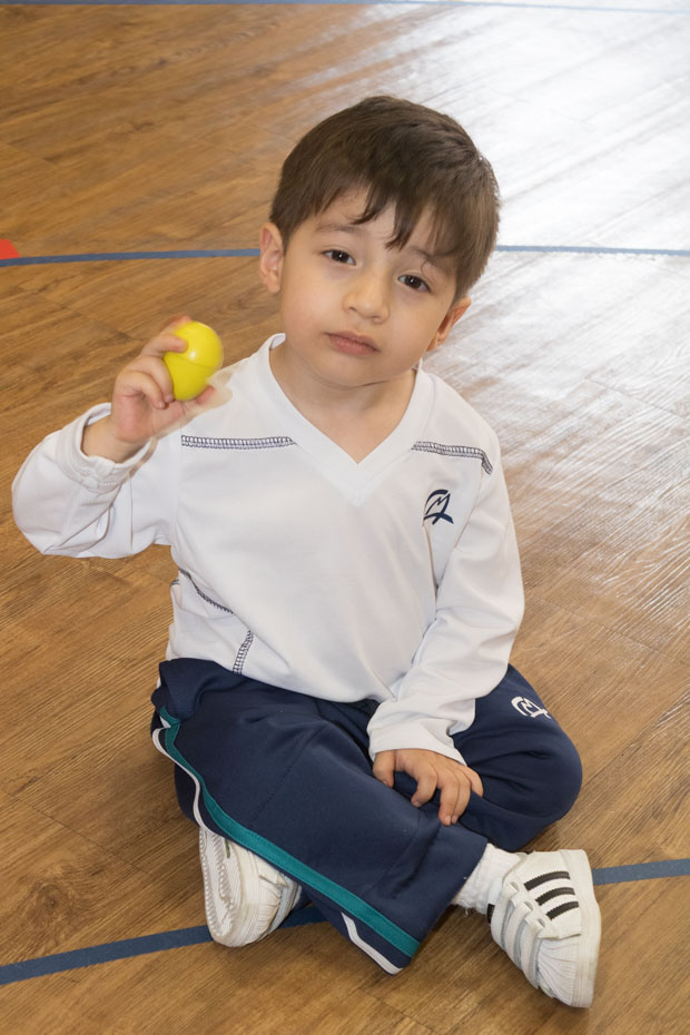 Ir a la Siguiente Foto