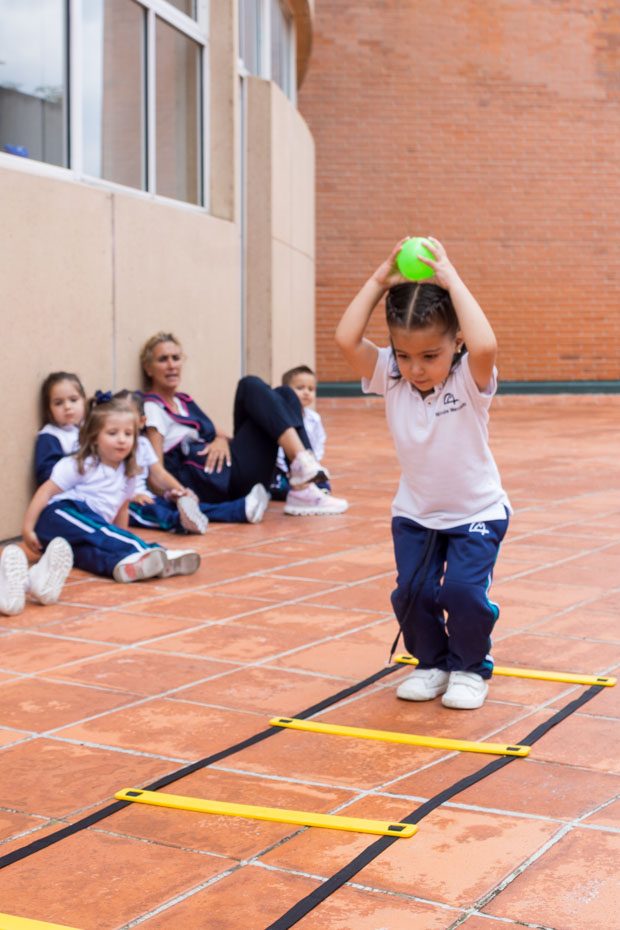 Ir a la Siguiente Foto