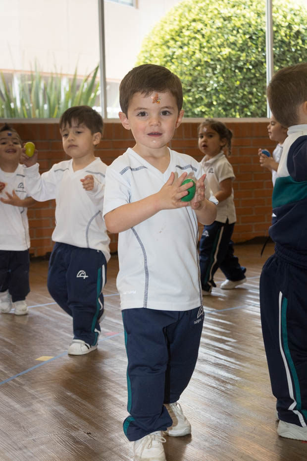 Ir a la Siguiente Foto