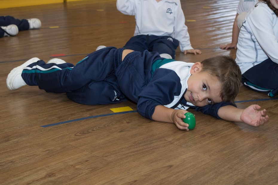 Ir a la Siguiente Foto