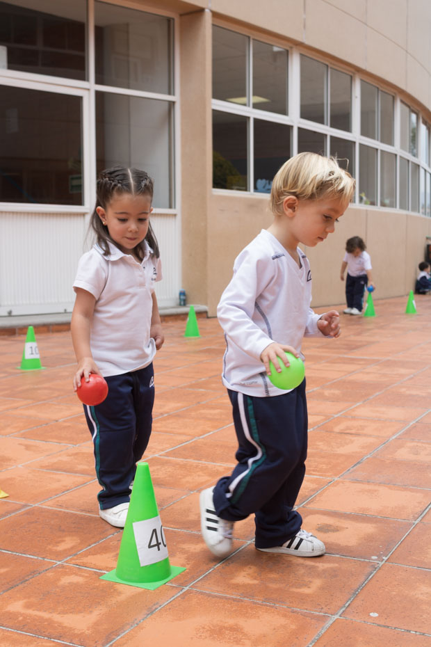 Ir a la Siguiente Foto
