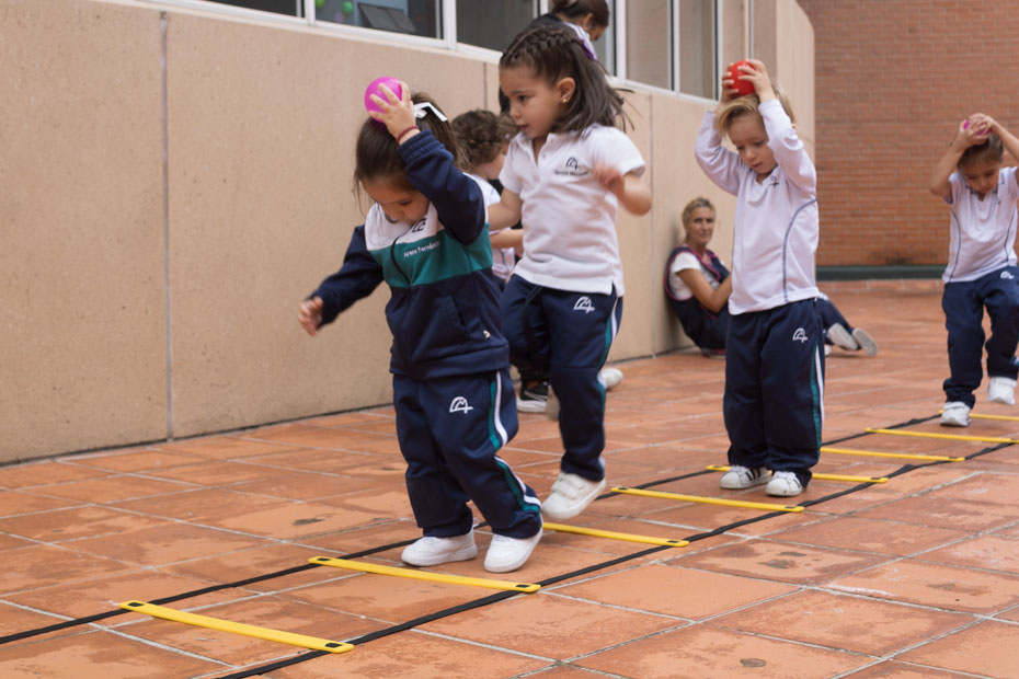 Ir a la Siguiente Foto