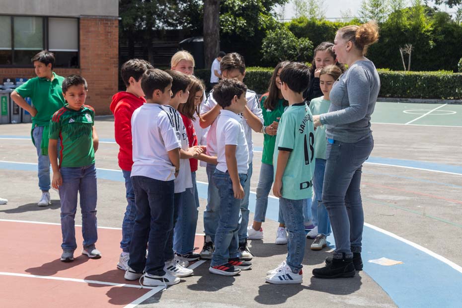 Ir a la Siguiente Foto