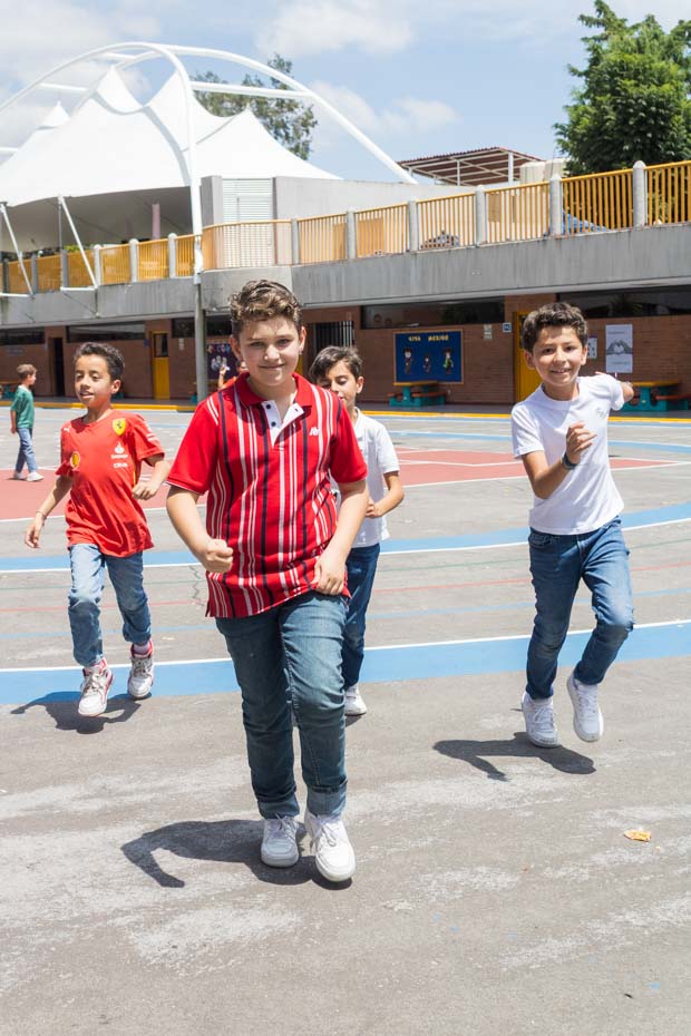 Ir a la Siguiente Foto