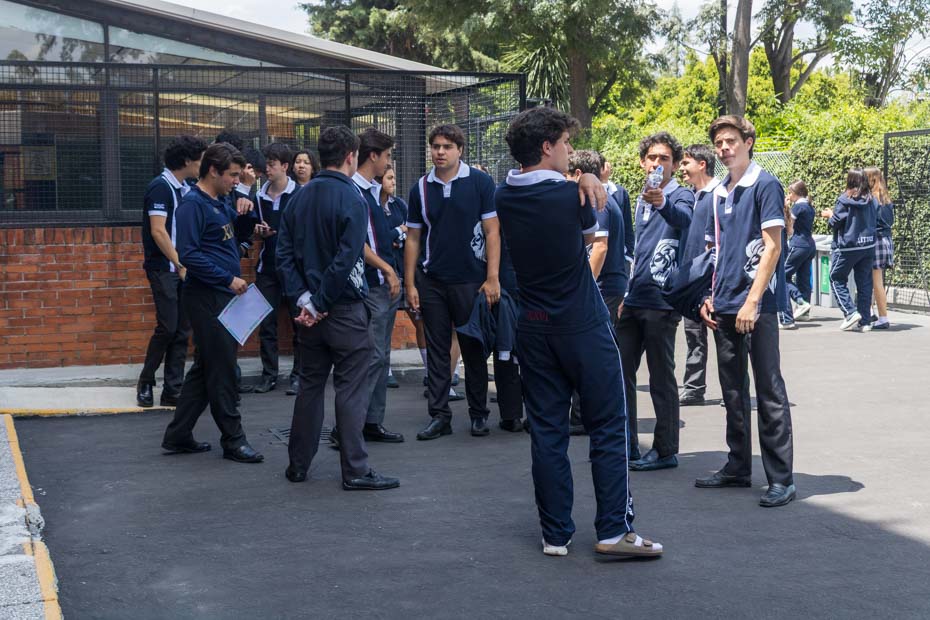 Ir a la Siguiente Foto