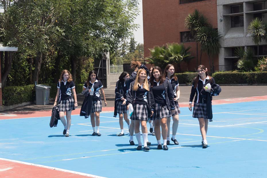 Ir a la Siguiente Foto