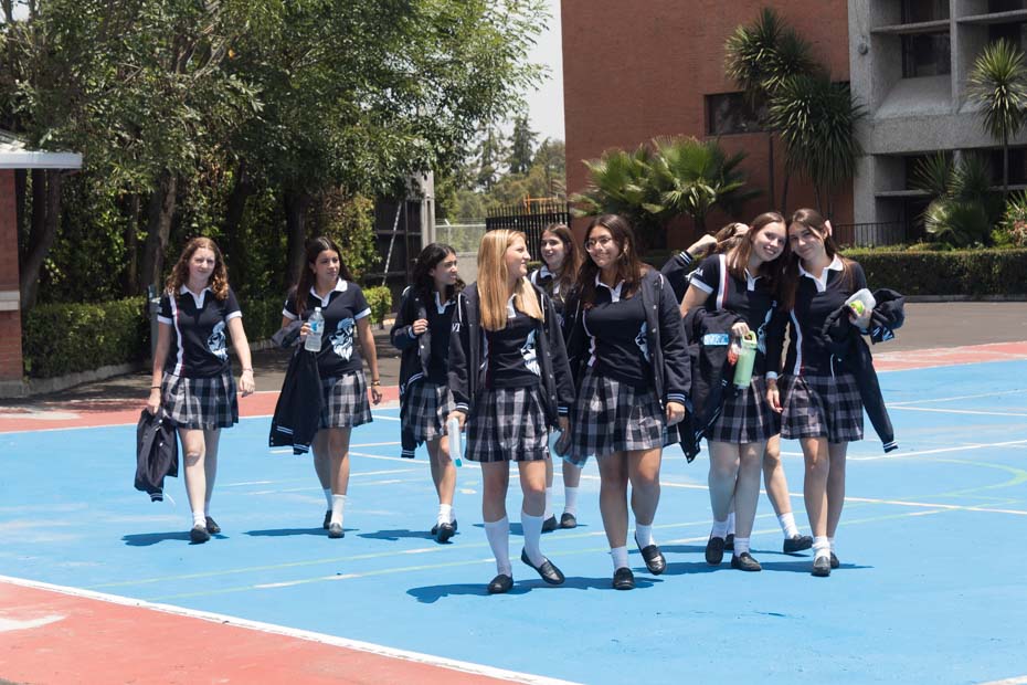 Ir a la Siguiente Foto