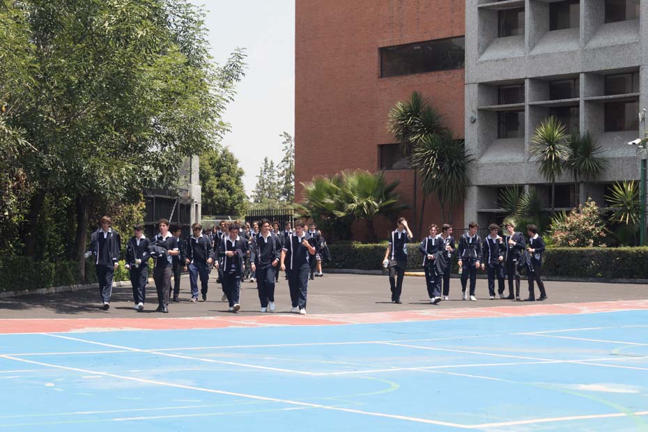 Ir a la Siguiente Foto