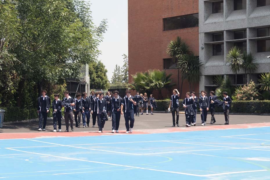 Ir a la Siguiente Foto