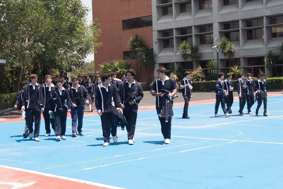 Ir a la Siguiente Foto