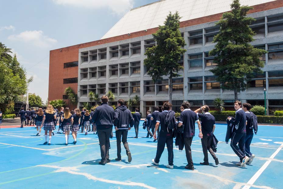 Ir a la Siguiente Foto