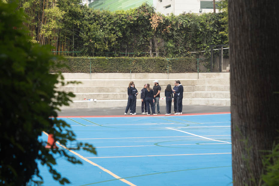 Ir a la Siguiente Foto