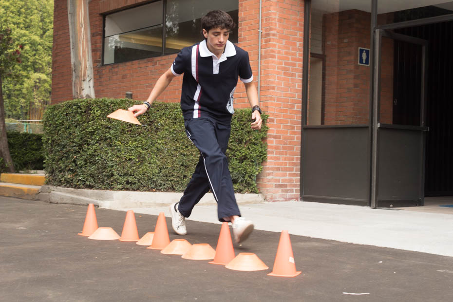 Ir a la Siguiente Foto