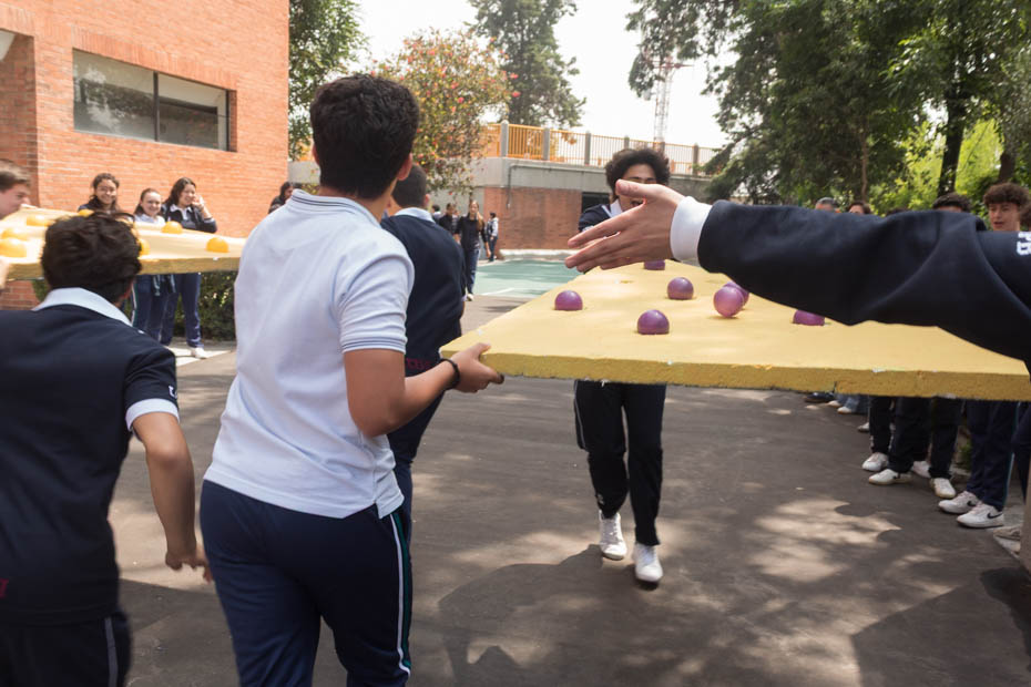 Ir a la Siguiente Foto