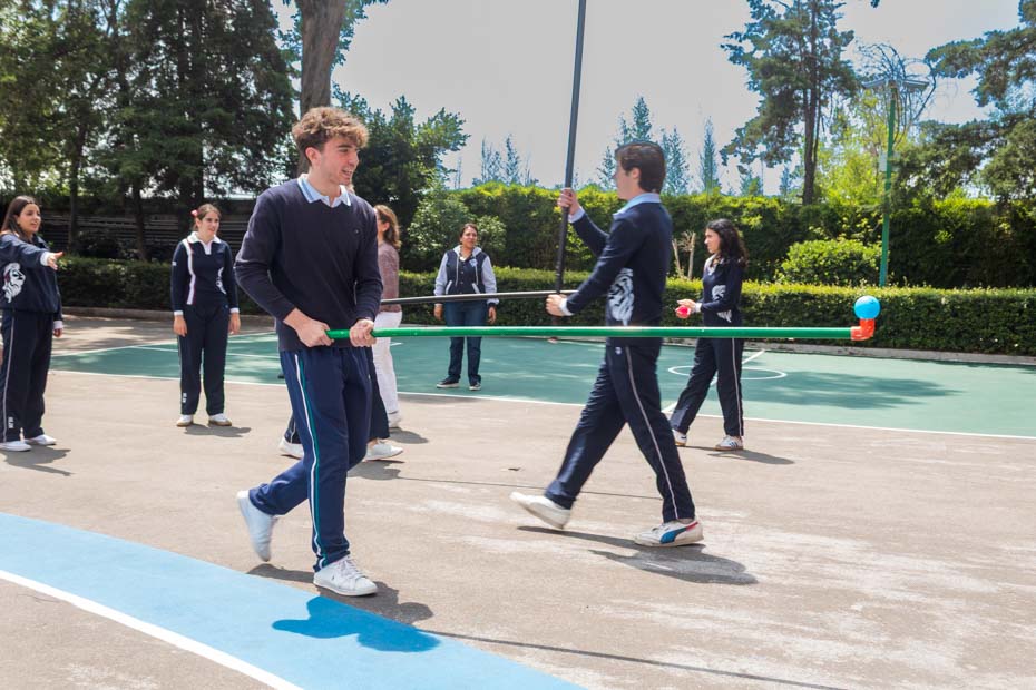 Ir a la Siguiente Foto