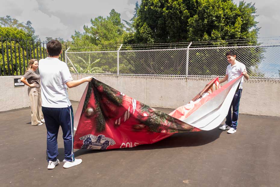 Ir a la Siguiente Foto