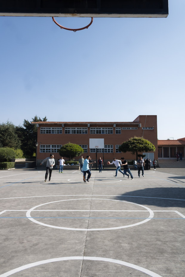 Ir a la Siguiente Foto