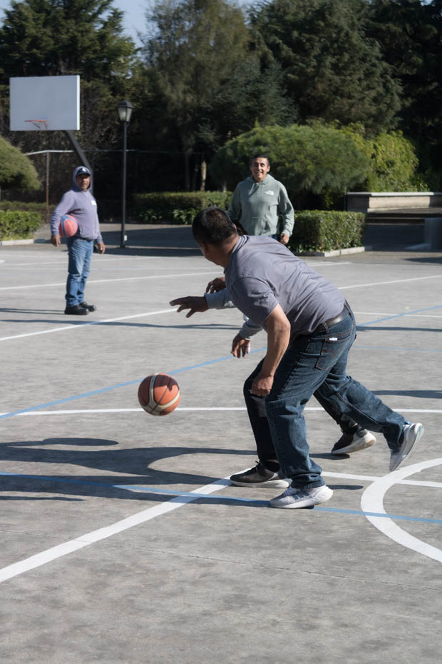 Ir a la Siguiente Foto