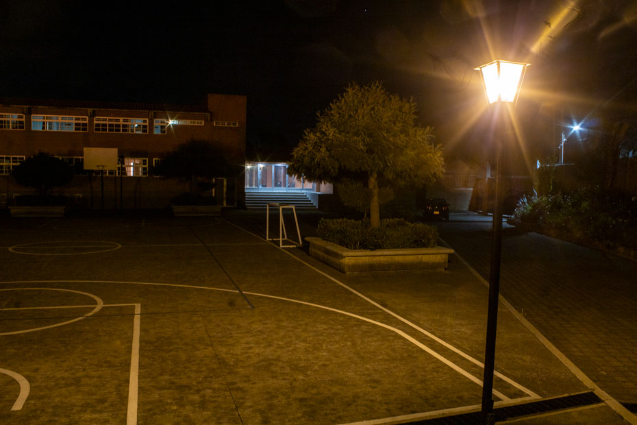 Ir a la Siguiente Foto