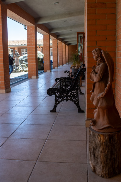 Ir a la Siguiente Foto