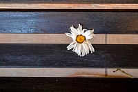 21022026Retiro_profeores381.jpg