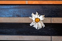 21022026Retiro_profeores382.jpg