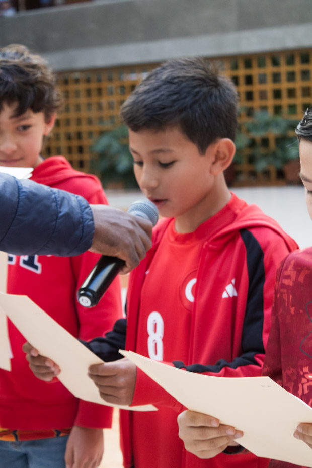 Ir a la Siguiente Foto