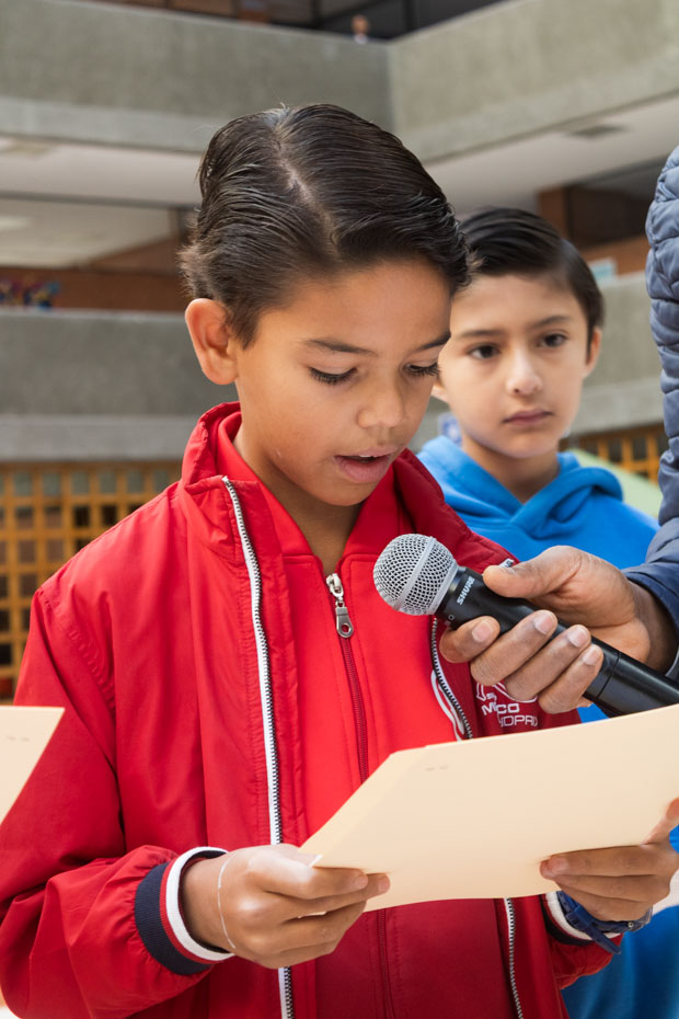 Ir a la Siguiente Foto