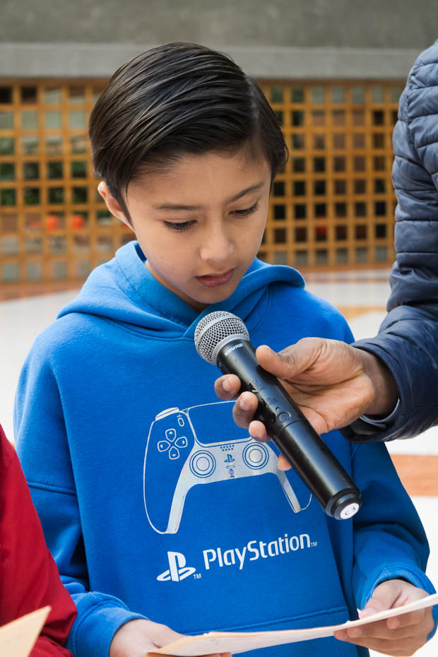 Ir a la Siguiente Foto