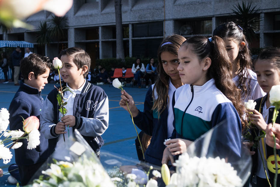 Ir a la Siguiente Foto