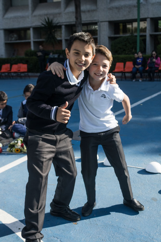 Ir a la Siguiente Foto