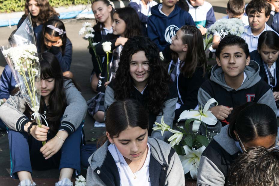 Ir a la Siguiente Foto